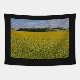 Fields of Gold Tapestry