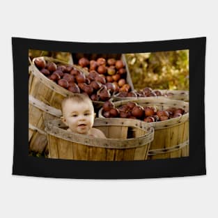 Picken Apples Tapestry