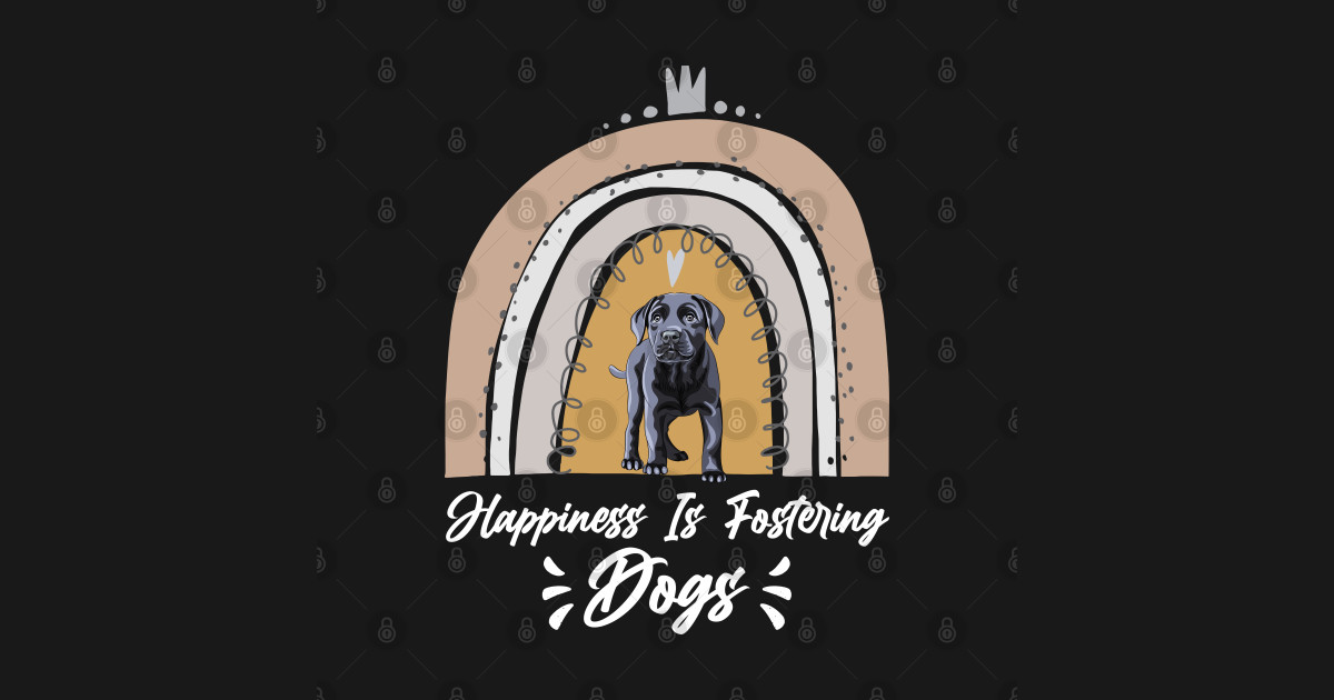 Labrador retriever puppy Happiness Is Fostering Dogs Labrador T