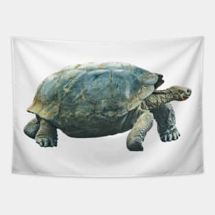 Galapagos Giant Turtle Tapestry