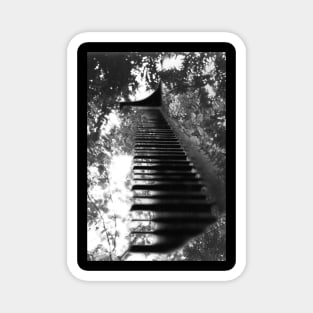 Piano in the Trees (B&W) Magnet