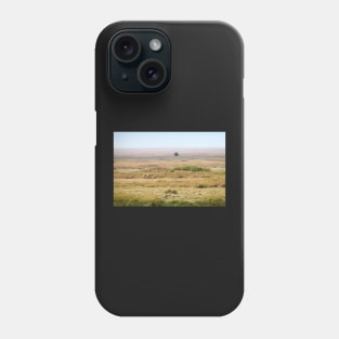 African Lion In The Landscape, Serengeti, Tanzania Phone Case