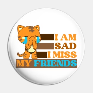 I am sad I miss my friends Pin