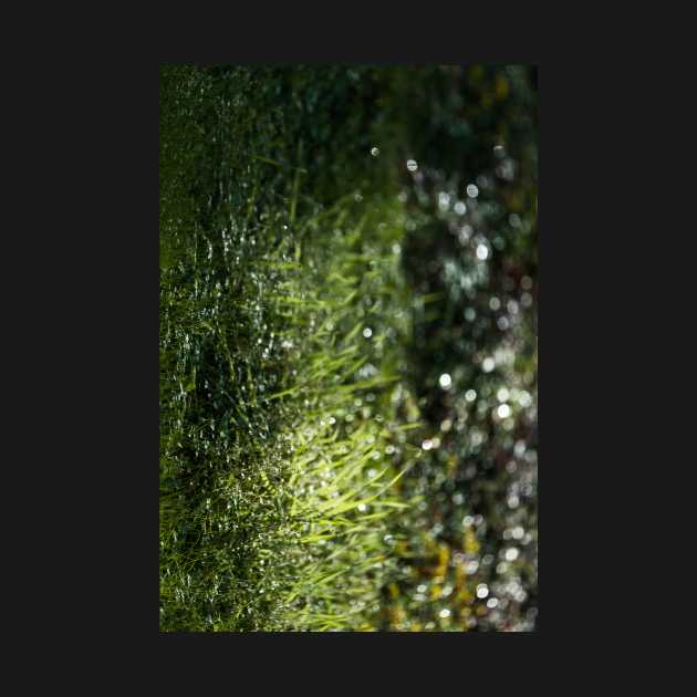 Glowing Green Grass After Rain Drops Fallen by textural