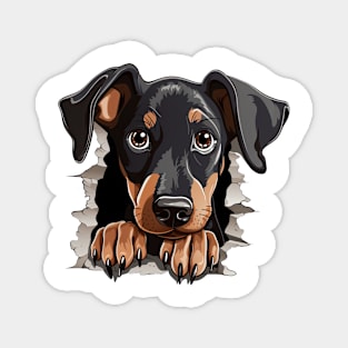 Baby Doberman Pinscher Dog Peeking Magnet