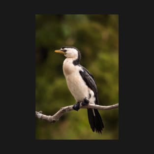 Little Pied Cormorant T-Shirt