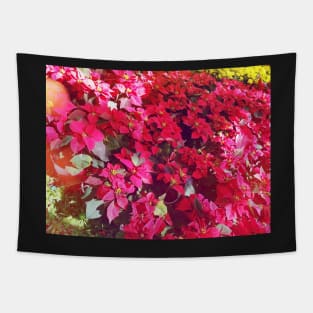 Poinsettia Tapestry