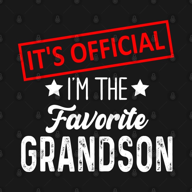 It's Official I'm The Favorite Grandson, Favorite Grandson by Bourdia Mohemad