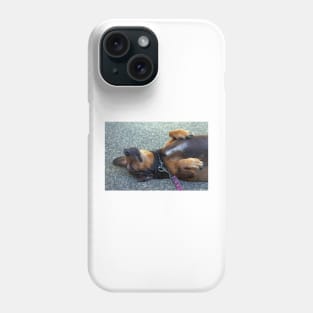 portrait of a sleeping dog Phone Case