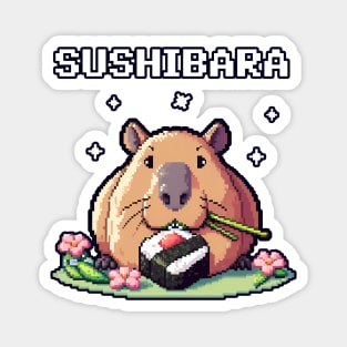 Sushi capybara pixel art 8 bit Magnet