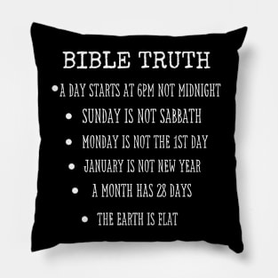 Bible Truth Pillow