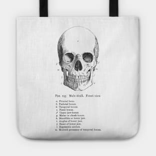 Labeled Skull Tote