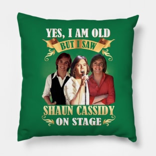 on stage concert Pillow