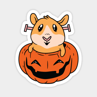 Guinea Pig In Pumpkin Halloween Magnet