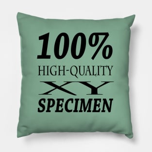 100% high-quality XY specimen Pillow