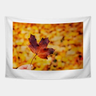 Hand holding brown maple leaf Tapestry