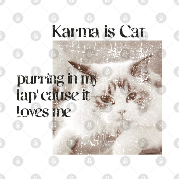 Karma is a cat funny by FFAFFF