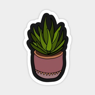 Aloe Magnet