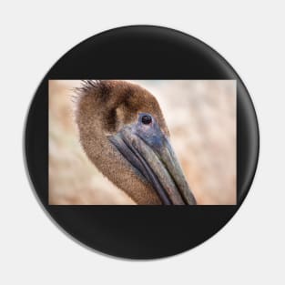 Brown Pelican Portrait Pin