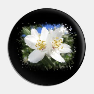 white flowers, flower, nature, blooms, garden Pin