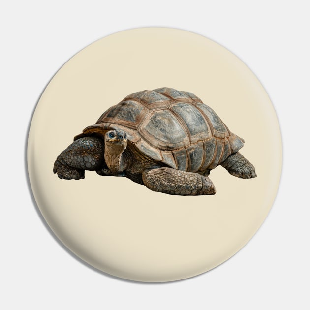 Giant Tortoise Pin by dalyndigaital2@gmail.com