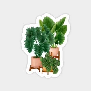 House plants collection 40.1 Magnet