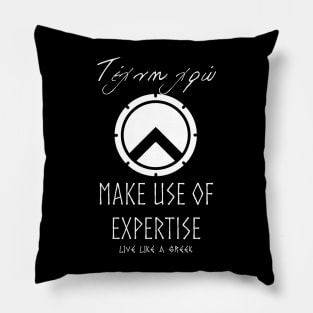 Make use of expertise and live better life ,apparel hoodie sticker coffee mug gift for everyone Pillow