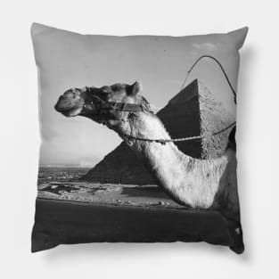 Camel at the Pyramids of Giza Pillow