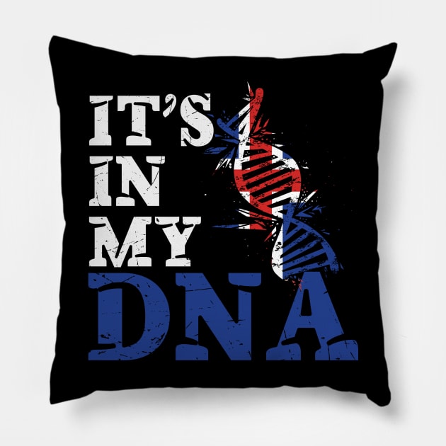 It's in my DNA - Iceland Pillow by JayD World