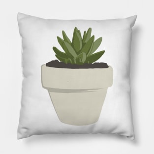 CNS Orostachys Fimbriata Pillow