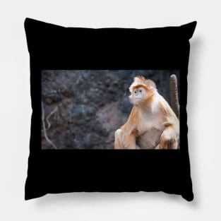 Bronx Zoo Monkey Pillow