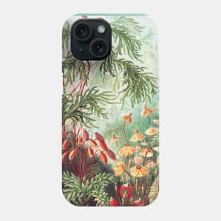 Fern -  Ernst Haeckel. Phone Case