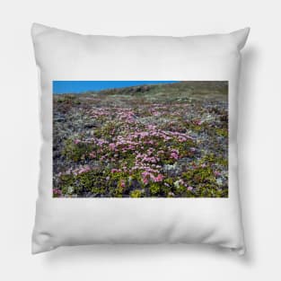 Petite Flowers of the Tundra Pillow