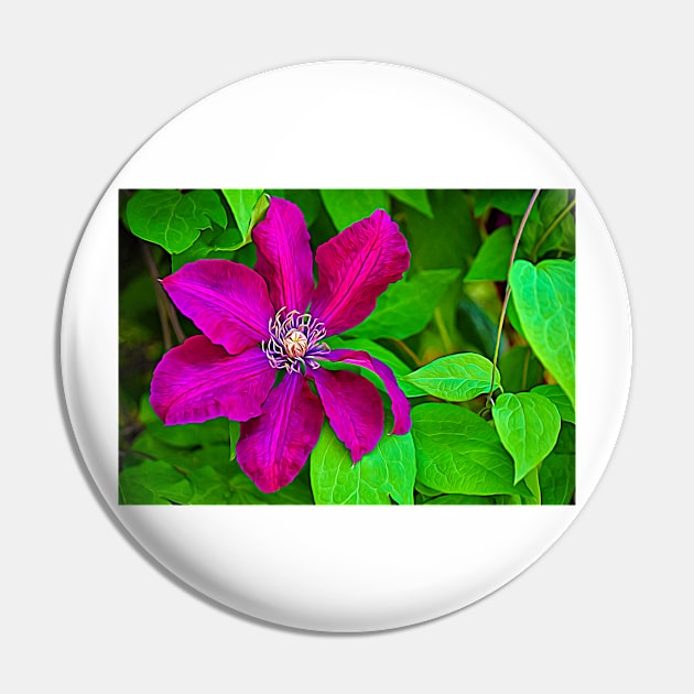 Brilliant Clematis Pin by mariakeady