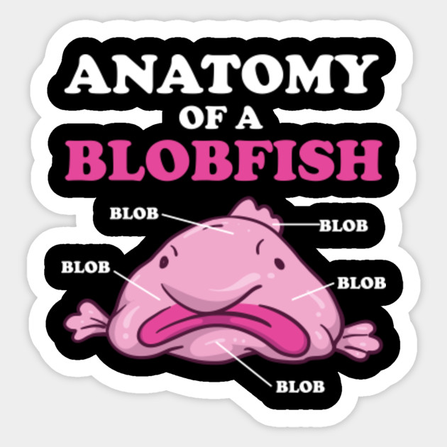 Anatomy Of A Blobfish Funny Ugly Fish Meme Blobfish Sticker