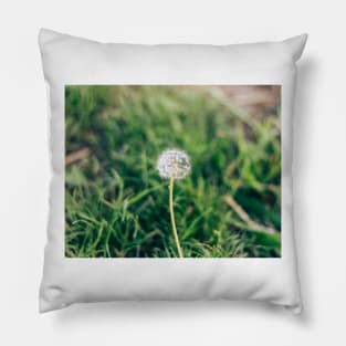 Dandelion Flower Pillow