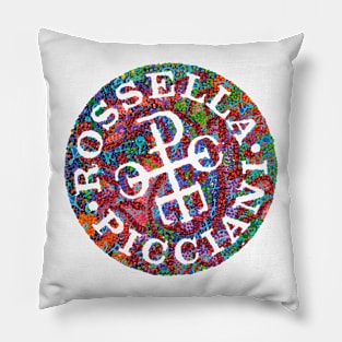 Paisley Pillow