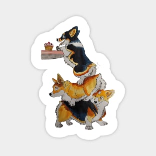 Corgi hungry for cupcake Magnet