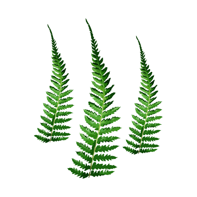 Fern by DenAlex