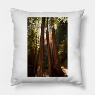 Muir Woods Pillow