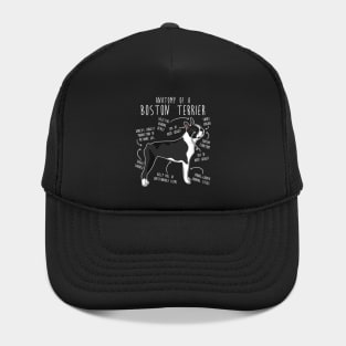 Boston Terrier Dog Anatomy Hat