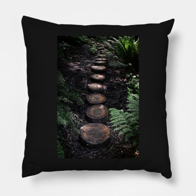 Tree stump path in the forest Pillow by Robtography