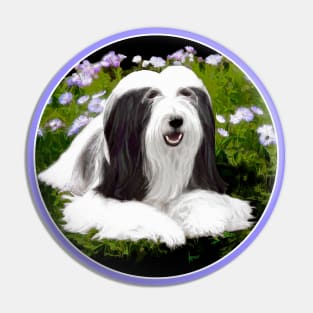 Bearded Collie Pin