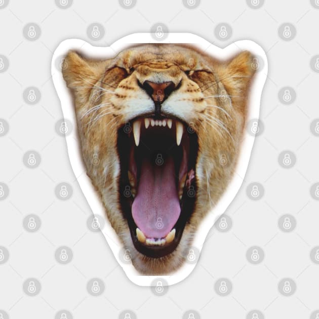 Lion Face Roar Magnet by byfab