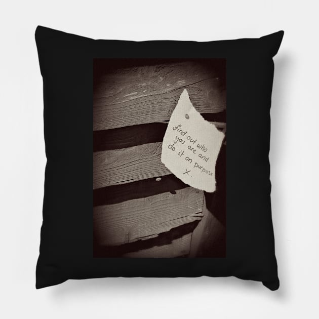 Do It On Purpose Pillow by InspiraImage