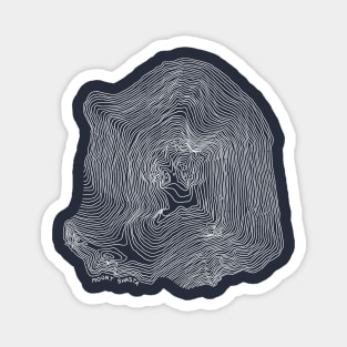 Mt Shasta (white) Magnet