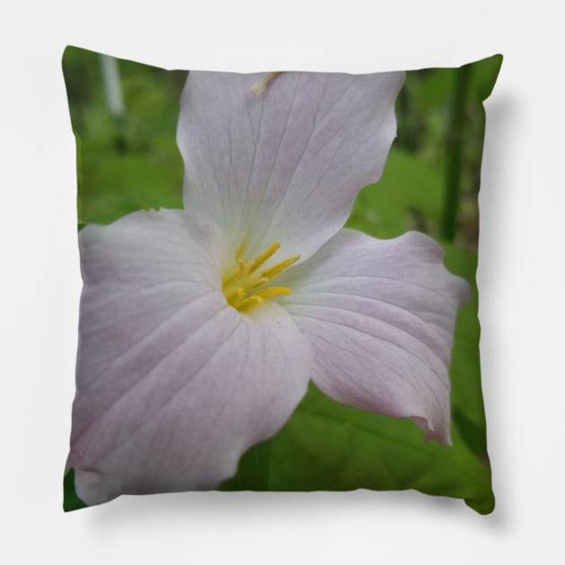 Trillium Pillow by Tara Liz Art