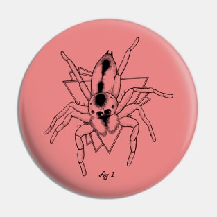 Fig 1. Salticidae Pin