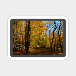 Fall In Connecticut Magnet