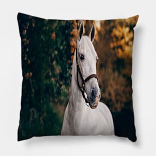 Horse Pillow